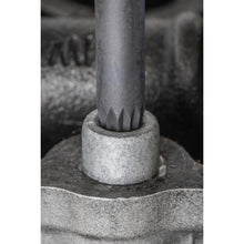 Load image into Gallery viewer, Sealey Spline Impact Socket Bit Set 8pc 1/2" Drive (Premier)