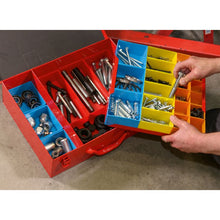 Load image into Gallery viewer, Sealey Metal Case 2-Layer, 27 Storage Bins