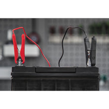 Load image into Gallery viewer, Sealey Battery Charger 12V 6A 230V