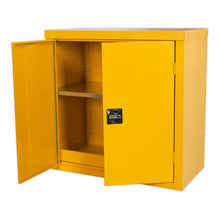 Load image into Gallery viewer, Sealey Hazardous Substance Cabinet 900 x 460 x 900mm
