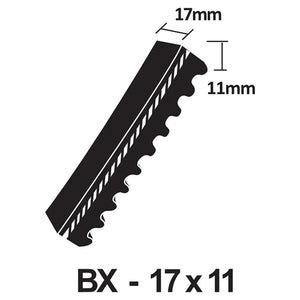 PIX X'Set Classical Cogged V-Belt - BX Section 17 x 11mm (BX100 - BX165)