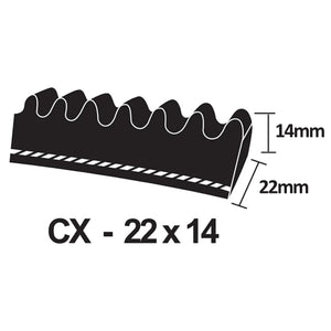PIX X'Set Classical Cogged V-Belt - CX Section 22 x 14mm (CX30 - CX49.5)