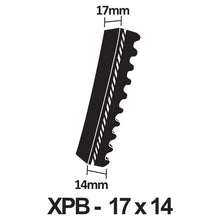 Load image into Gallery viewer, PIX X&#39;Set Cogged Wedge V-Belt - XPB Section 17 x 14mm (XPB2000 - XPB4820)
