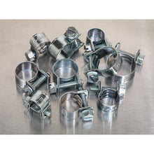Load image into Gallery viewer, Sealey Mini Hose Clip Assortment 100pc
