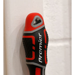 Sealey Screwdriver Phillips #2 x 100mm - GripMAX (Premier)