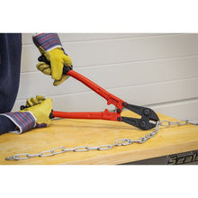 Load image into Gallery viewer, Sealey Bolt Cropper 450mm (18") - 8mm Capacity (Premier)
