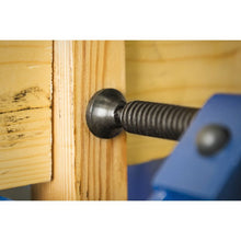 Load image into Gallery viewer, Sealey Quick Release G-Clamp 100mm (4")

