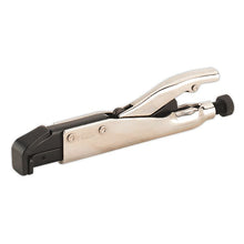Load image into Gallery viewer, Sealey Axial Locking Grip 195mm L-Tip (Premier)
