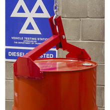 Load image into Gallery viewer, Sealey Drum Grab 350kg Capacity
