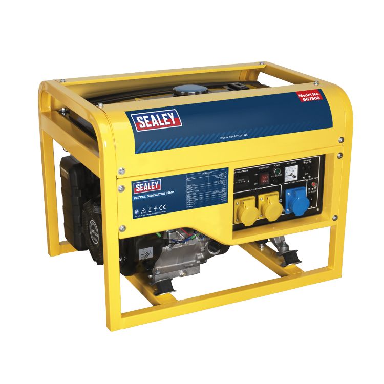 Sealey Generator 6000W 110/230V 13hp