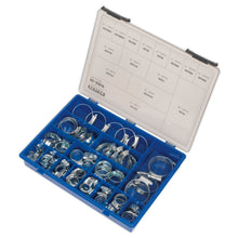 Load image into Gallery viewer, Sealey HI-GRIP Hose Clip Assortment 81pc Sizes 9.5-55mm
