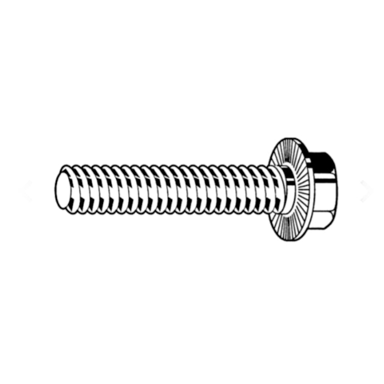 Hexagon Head Serrated Flanged Bolt M6 - DIN 6921 Class 100