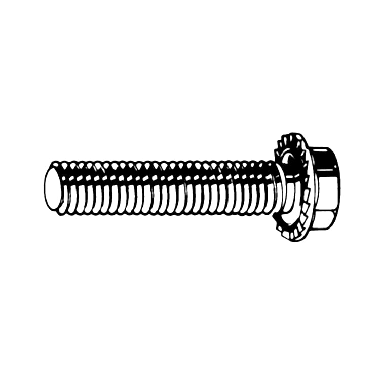 Hexagon Head Toothed Flanged Bolt M6 - DIN 6921 Class 90/100