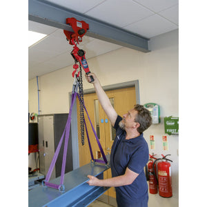 Sealey Lever Hoist Steel 750kg