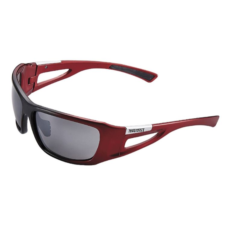 Teng Red Frame Glasses - Grey/Smoke Lens