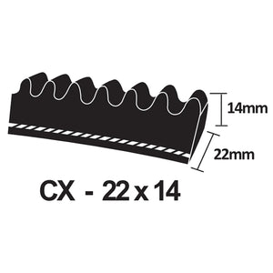 CX Section V-Belt