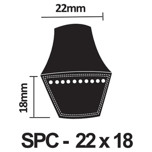 SPC Section V-Belt