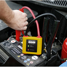 Load image into Gallery viewer, Sealey Auto Electronics Protection Device 12V

