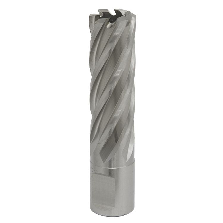 Sealey Rotabor Cutter HSS 19mm - Cut Depth 50mm