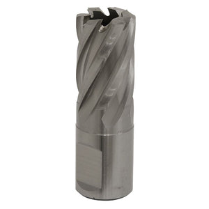 Sealey Rotabor Cutter HSS 19mm - Cut Depth 25mm