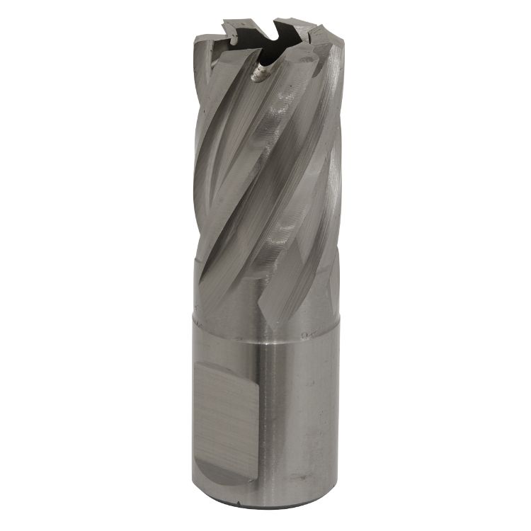 Sealey Rotabor Cutter HSS 19mm - Cut Depth 25mm