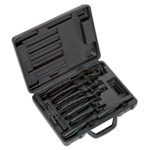 Sealey Circlip Pliers Set 10pc Internal/External (Siegen)