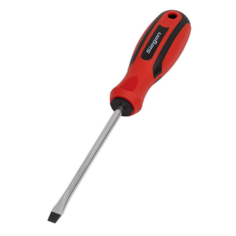 Sealey Screwdriver Slotted 5 x 100mm (Siegen)