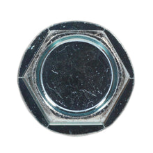 Load image into Gallery viewer, Sealey Self-Drilling Screw 4.8 x 19mm Hex Head Zinc - Pack of 100
