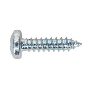 Sealey Self-Tapping Screw Assortment DIN 798CZ 305pc Pan Head Pozi Zinc