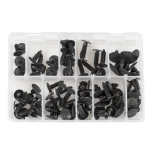Load image into Gallery viewer, Sealey Fir Tree Clip Assortment - Pack of 100
