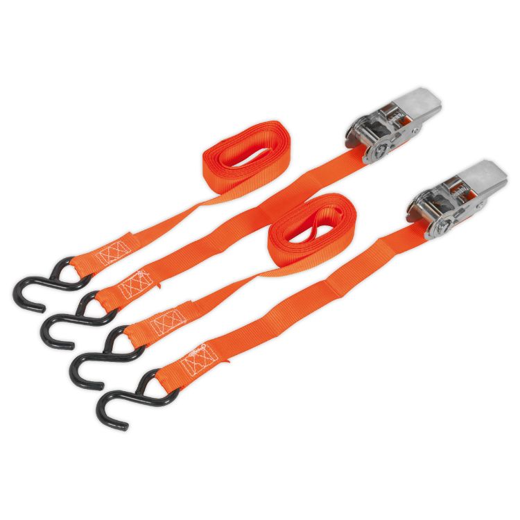 Sealey Ratchet Straps 25mm x 4M Polyester Webbing, S-Hooks 500kg Breaking Strength - Pair