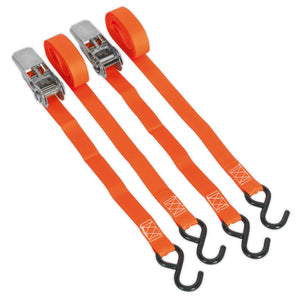Sealey Ratchet Straps 25mm x 4M Polyester Webbing, S-Hooks 500kg Breaking Strength - Pair