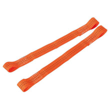 Load image into Gallery viewer, Sealey Tie Down Securing Loop - Pair
