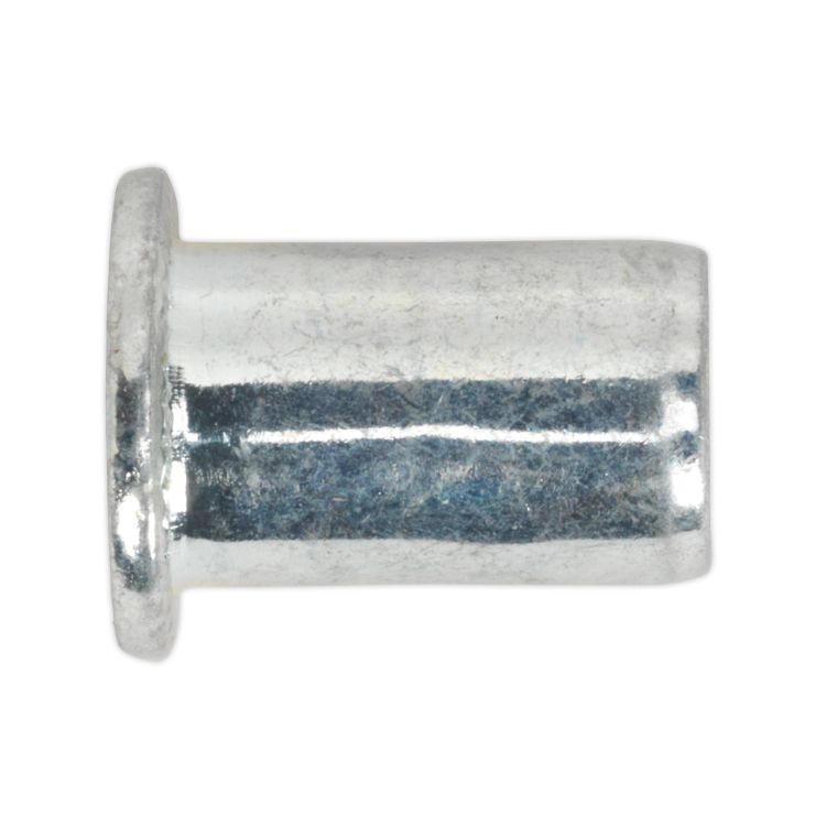 Sealey Threaded Insert (Rivet Nut) M6 Regular - Pack of 50