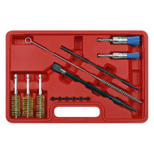 Load image into Gallery viewer, Sealey Cleaning Brush Set Injector Bore 14pc
