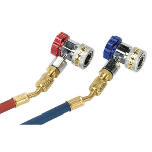 Sealey Air Conditioning System Manifold, Sight Glass