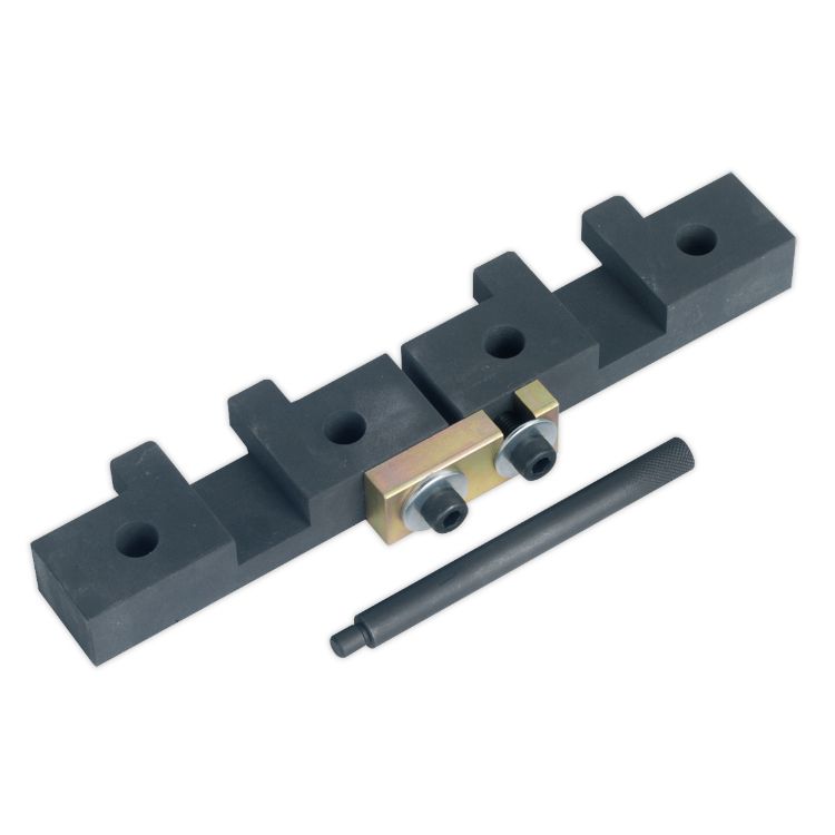 Sealey Petrol Engine Timing Tool Kit - BMW M42/M50/M52/M52TU/M54/M56 - Chain Drive