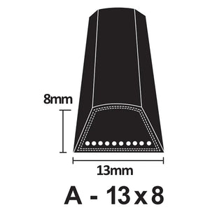 PIX X'Set Classical Wrapped V-Belt - A Section 13 x 8mm (A15 - A49.5)