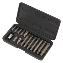 Load image into Gallery viewer, Sealey Ribe Bit &amp; Holder Set 15pc - 3/8&quot; Sq Drive (Siegen)
