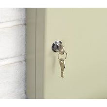 Load image into Gallery viewer, Sealey Key Cabinet, 20 Key Tags
